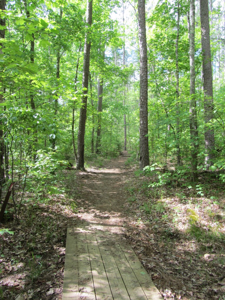 Sherwood Forest Camp Trades Weekend - wooded path