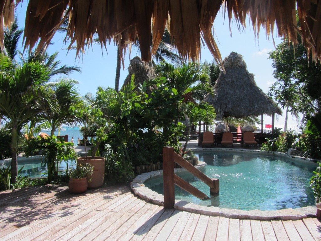 Ramon's Village Resort - pool