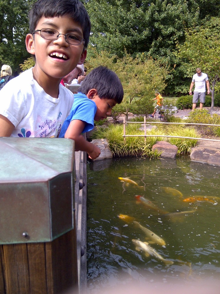 Orahood boys - fish pond