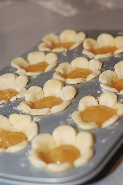 Pinterest mini pumpkin pies