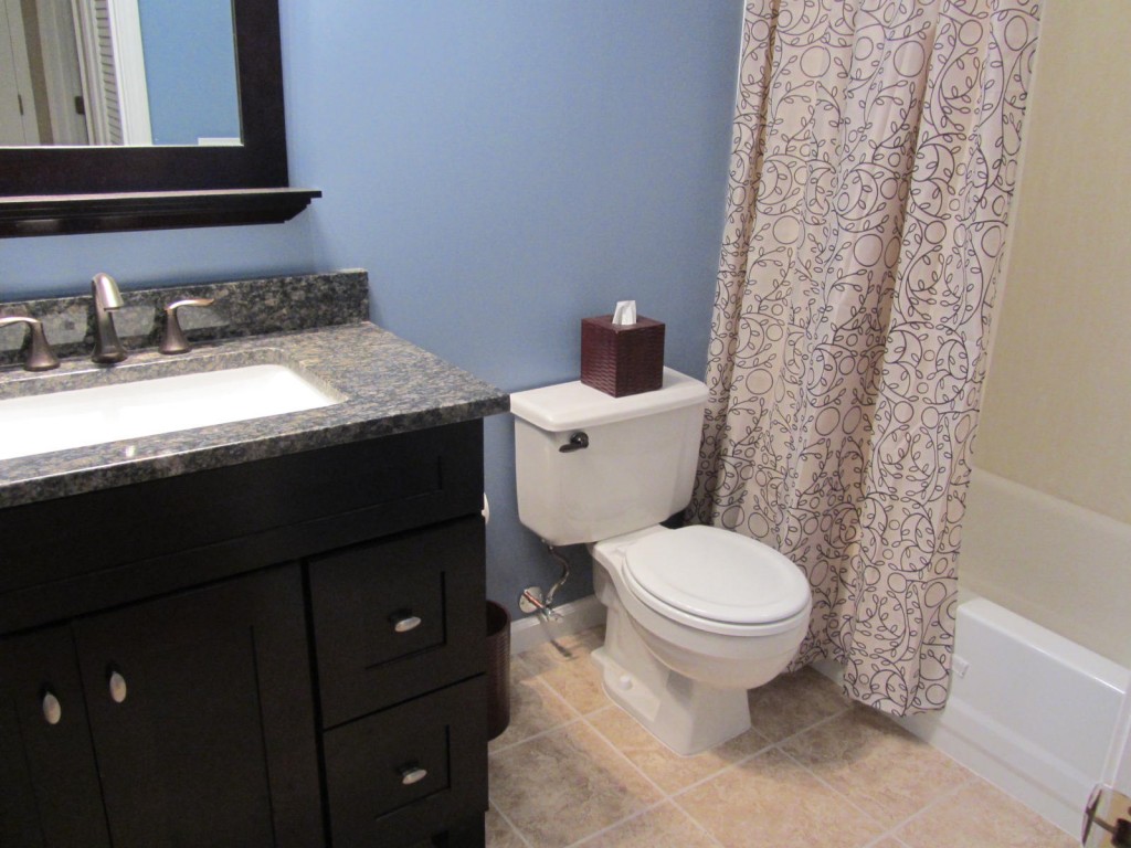 Bathroom remodel 1