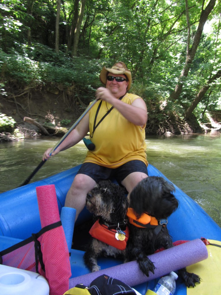 Dogs in rafts on Meramec River