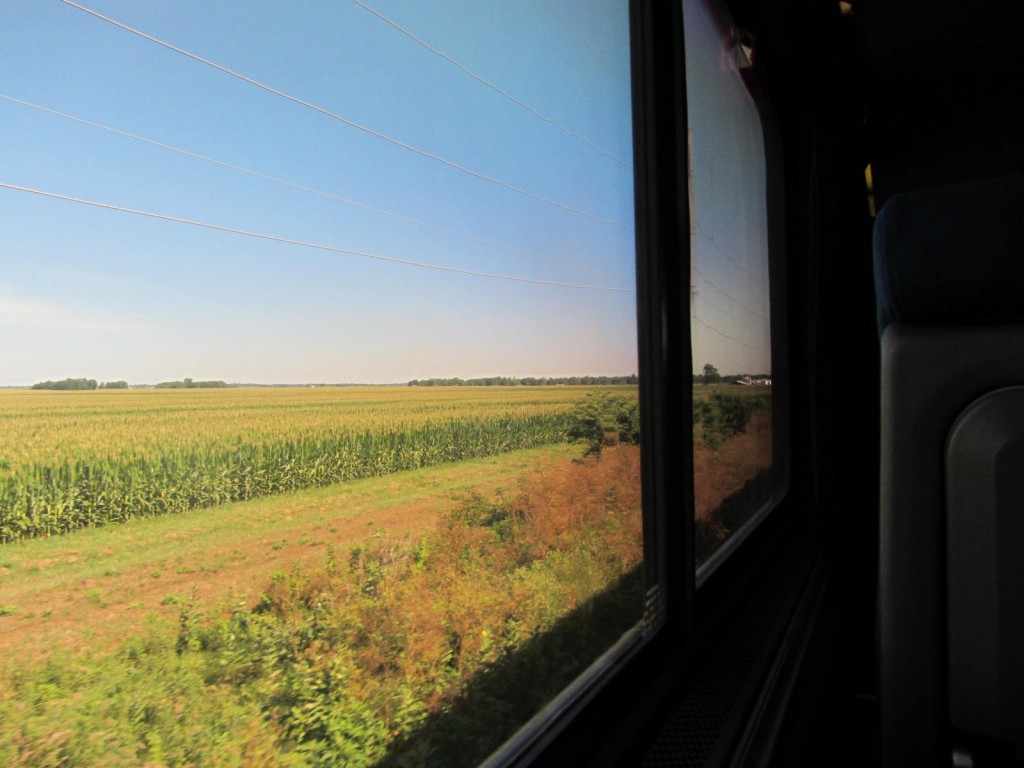 Amtrak - view from window of corn fields