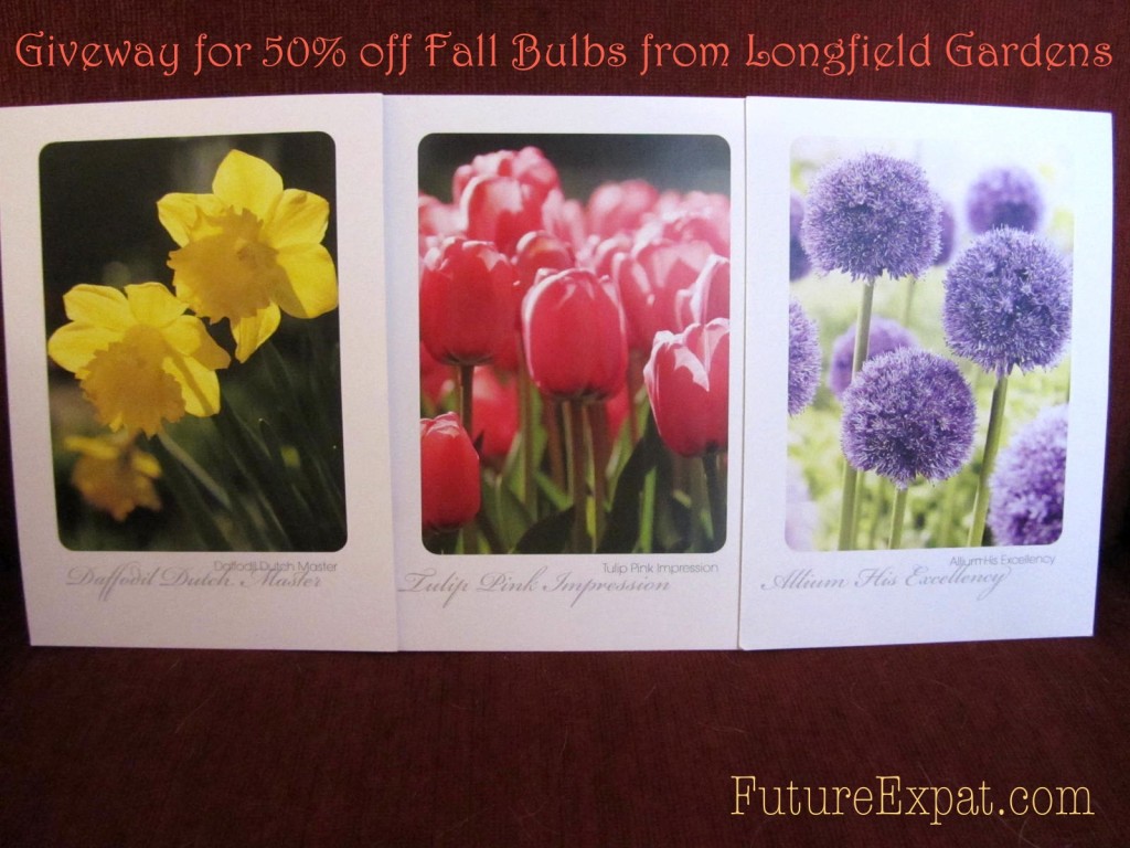 Fall bulb giveaway prize