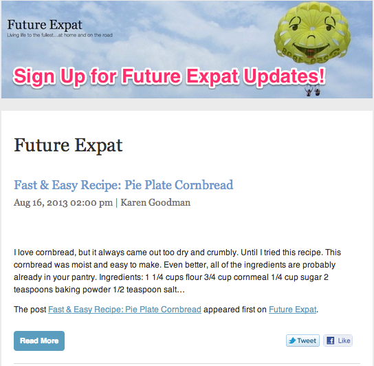 Sign Up for Emails from Future Expat