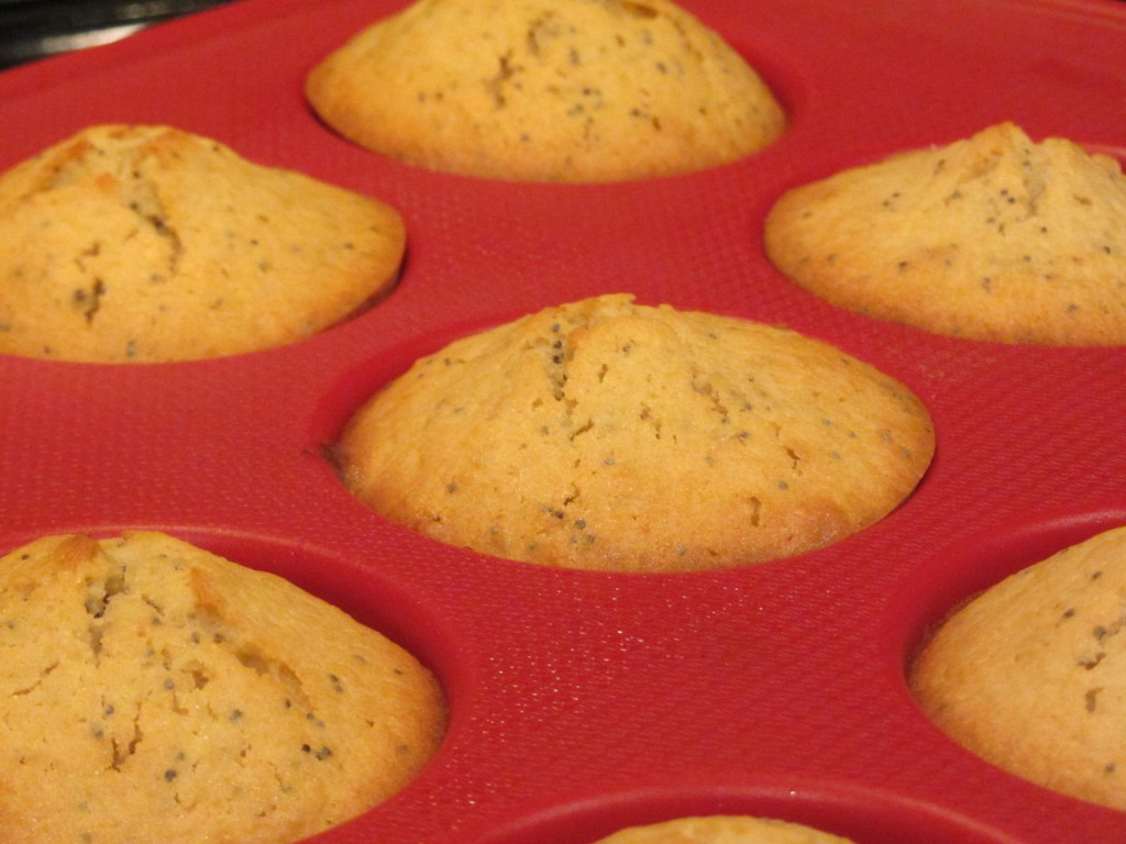 Poppy seed almond muffins out of oven