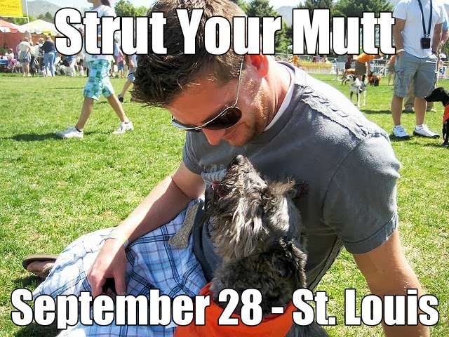 Strut Your Mutt - photo credit Jesse Michael Nix (Flickr) - caption