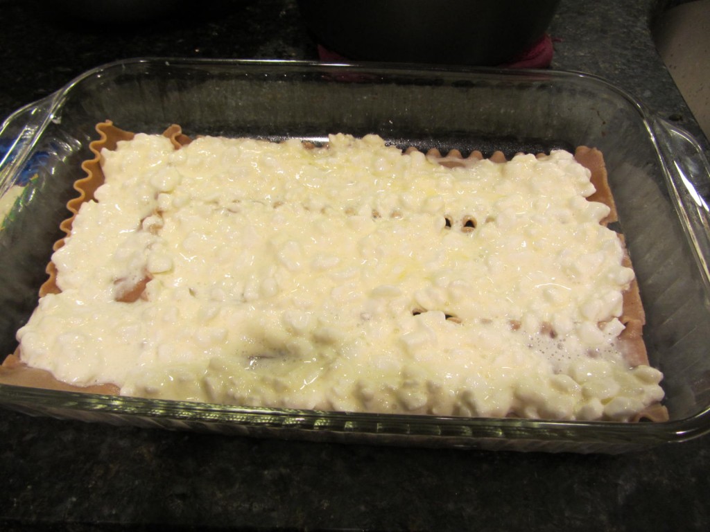 Lasagna assembly - cottage cheese