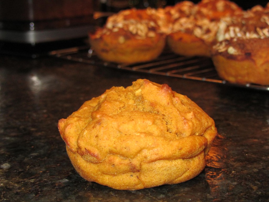 Oatmeal Pumpkin Muffins 9