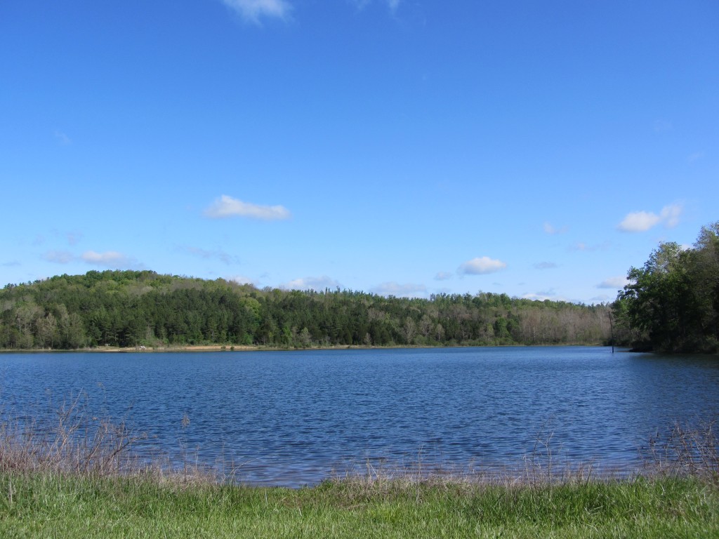 Sherwood Forest Camp - Buder Lake