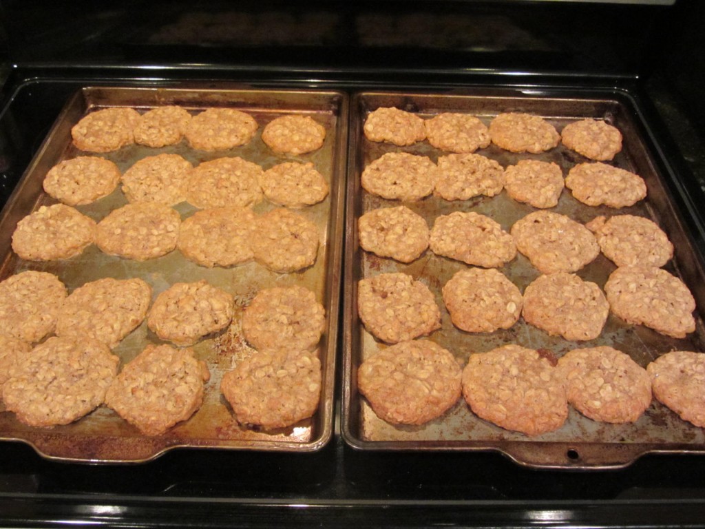 Oatmeal cookies on cookie sheets