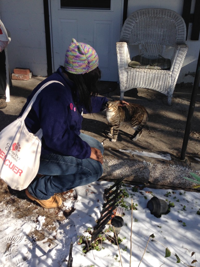 Gateway Pet Guardians Junior Guardian petting cat