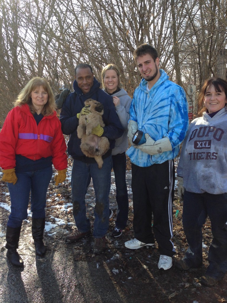 Puppy Rescue