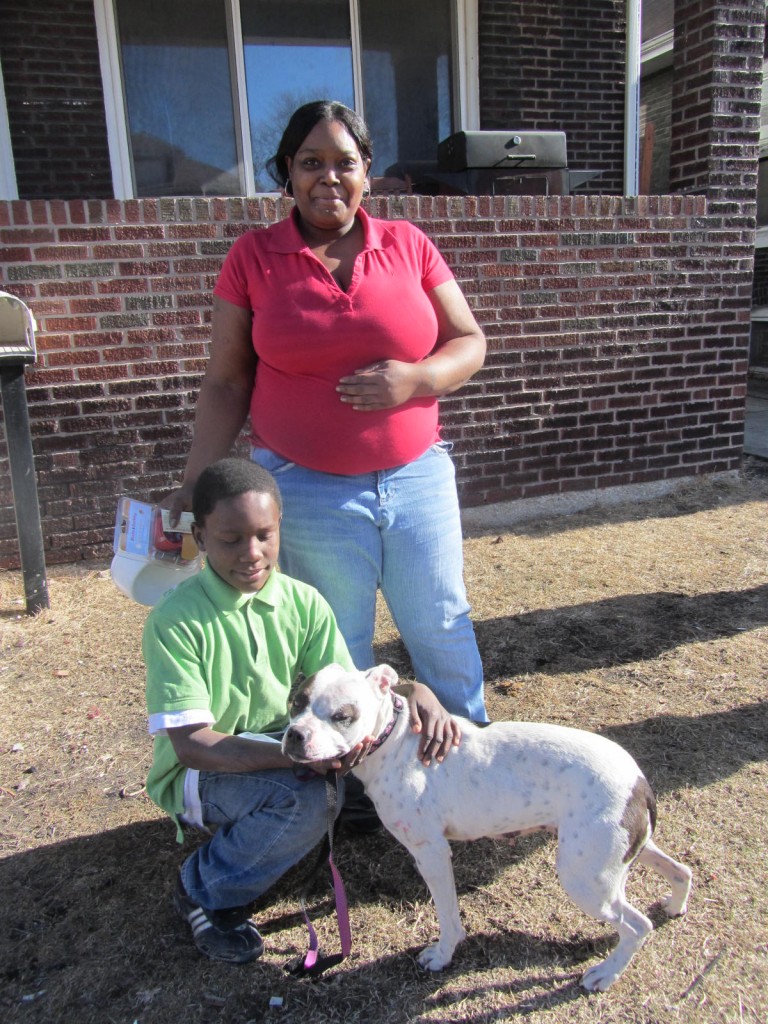 pitbull-with-new-family