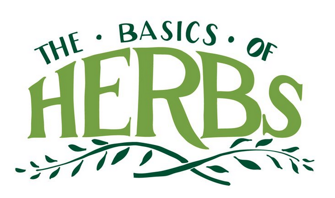 Planning Your Herb Garden {INFOGRAPHICS}