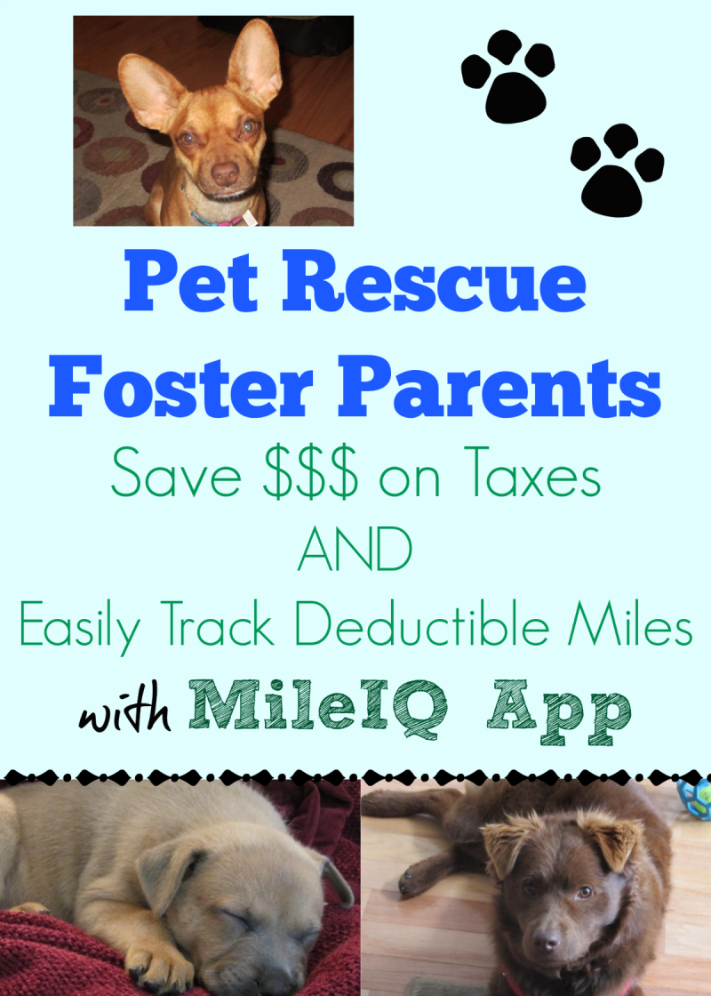 Pet Rescue Foster Parents Can Save Money on their Taxes with MileIQ App - Future Expat