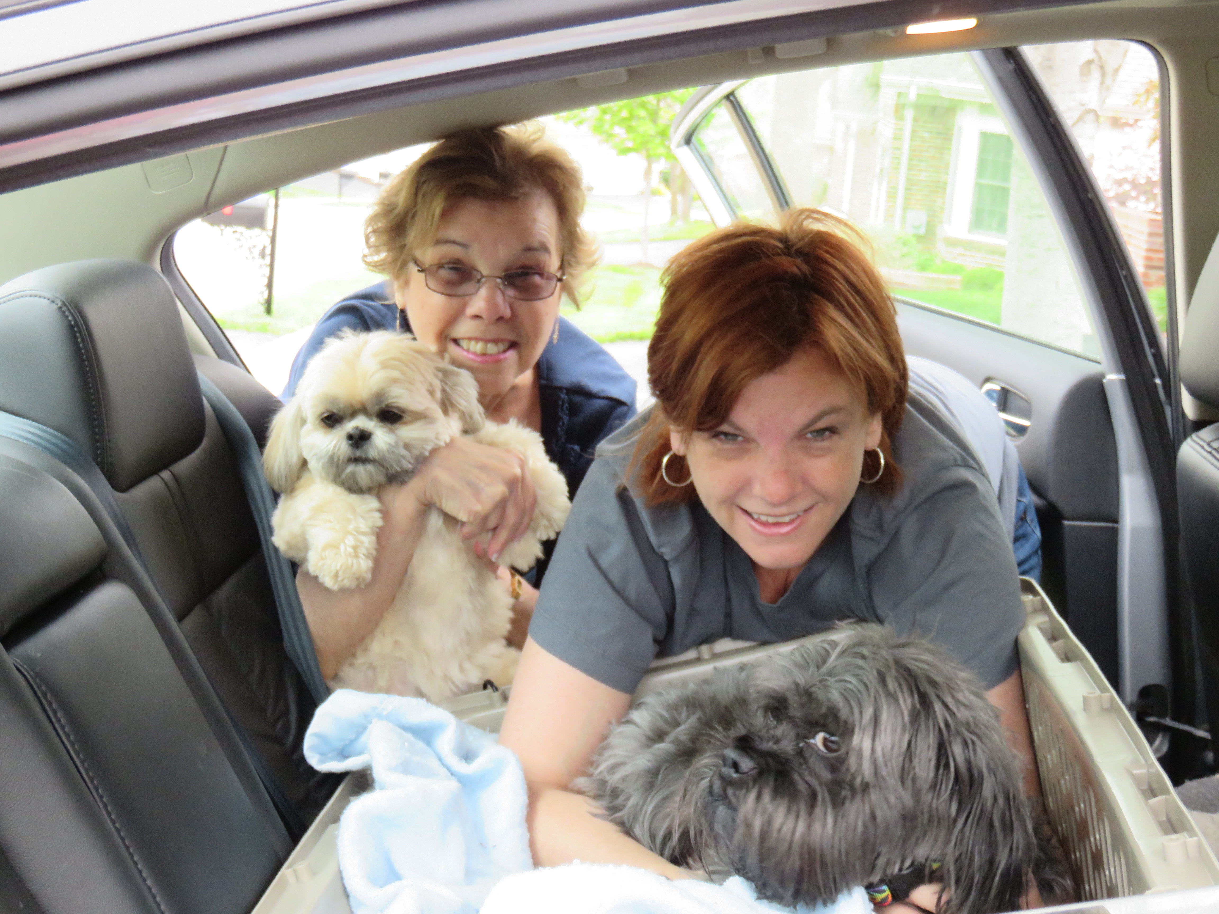 On the Road to Vegas…with Dogs!