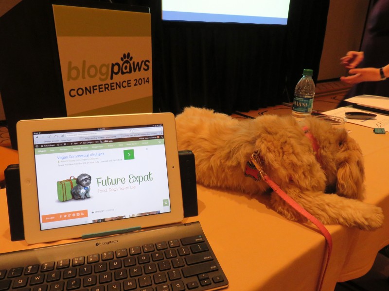 Blog Paws Conference - tablet for notes