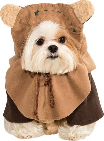 10 Adorable Dog Halloween Costumes