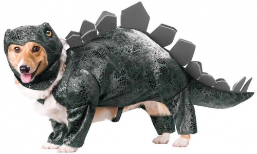 10 Adorable Dog Halloween Costumes