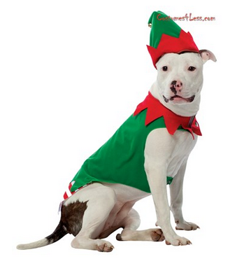 10 Adorable Dog Halloween Costumes