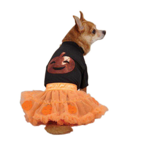 10 Adorable Dog Halloween Costumes