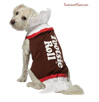 10 Adorable Dog Halloween Costumes