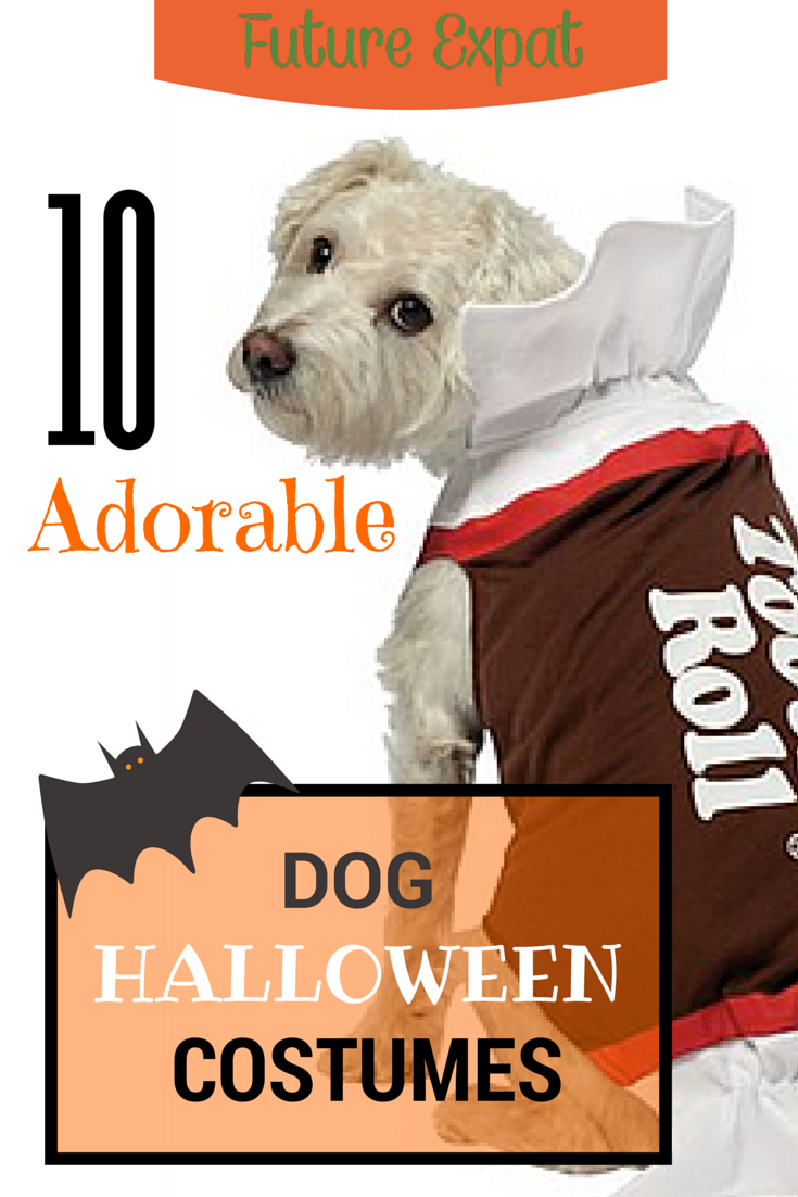 10 Adorable Dog Halloween Costumes - Future Expat