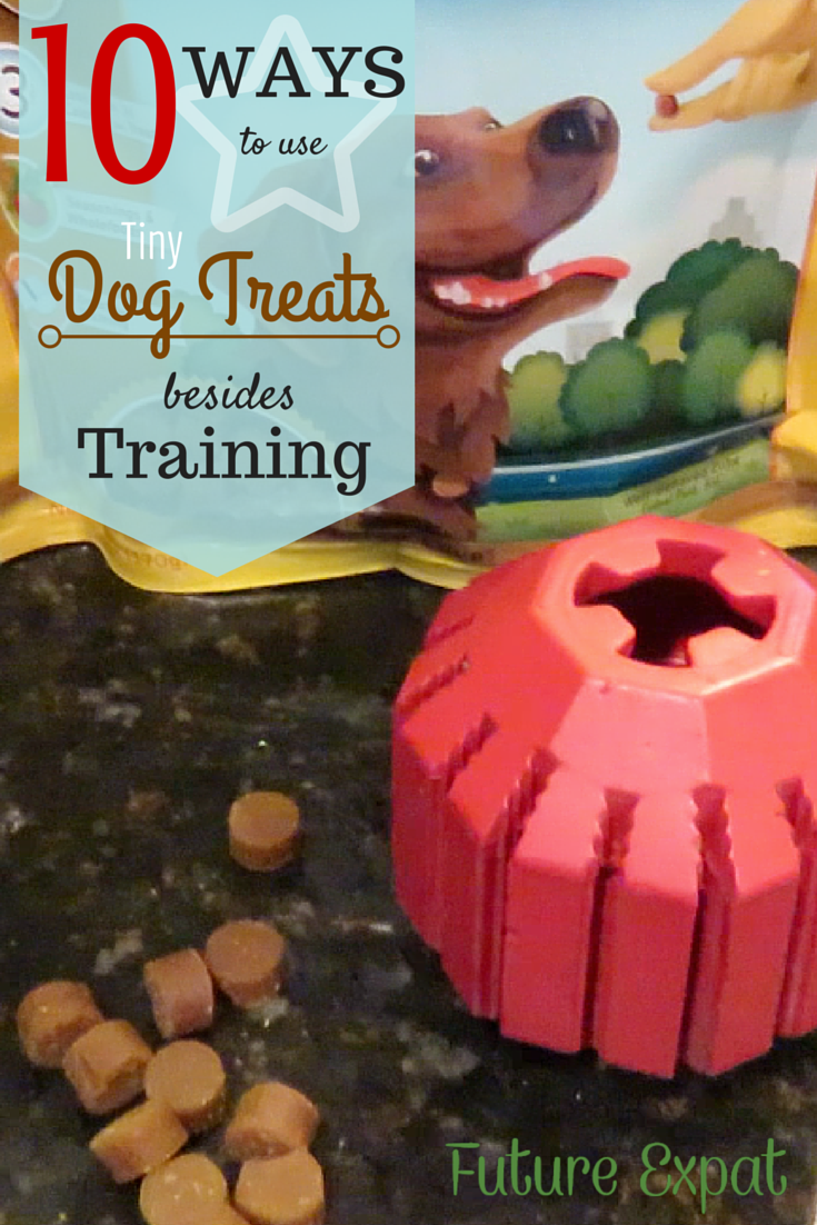 10 Ways to Use Tiny Dog Treats Besides Training
