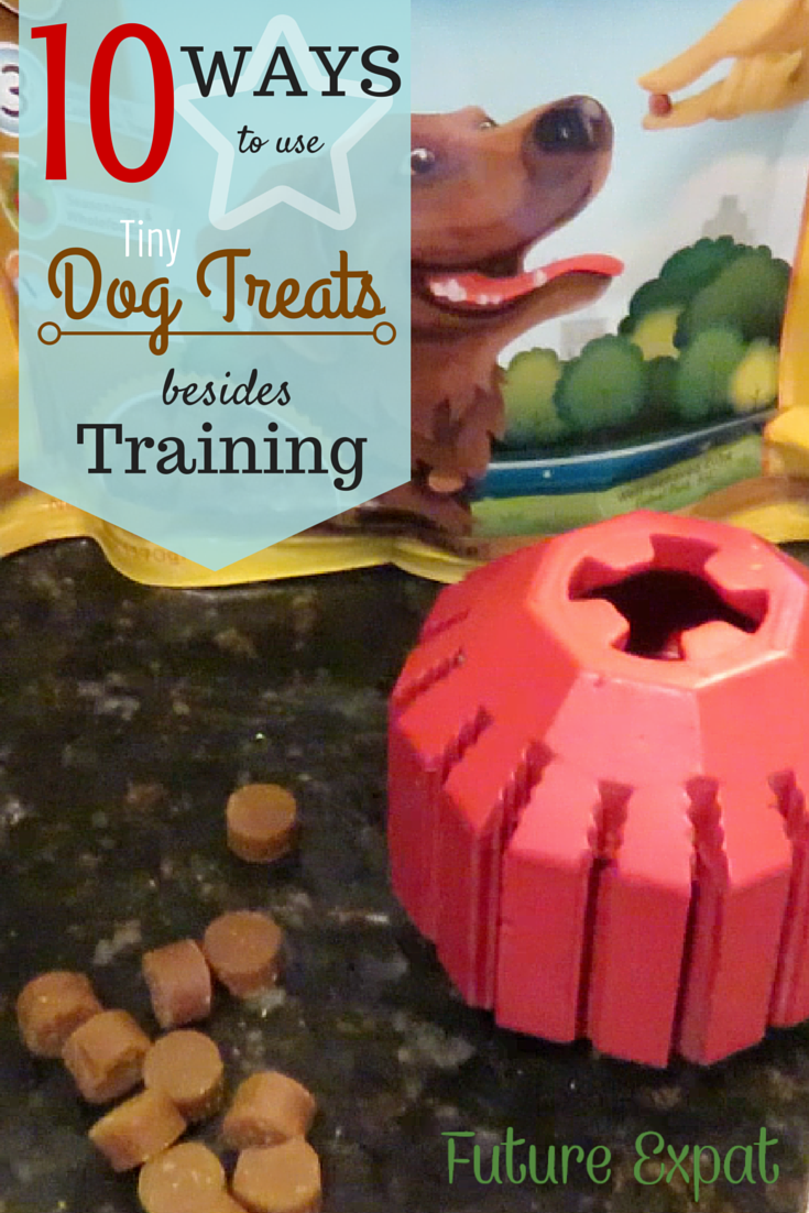 tiny dog training treats