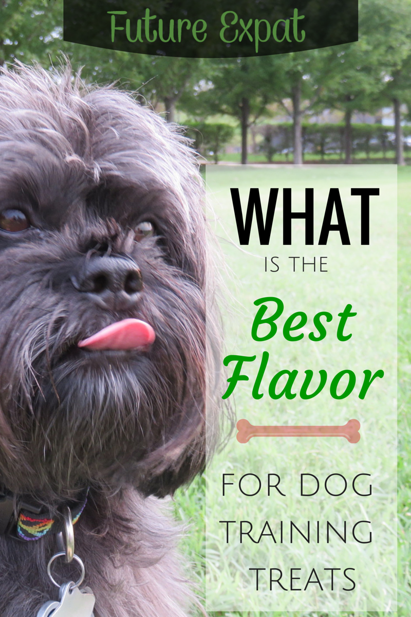 What is the Best Flavor for Dog Training Treats?