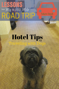 Lessons from My 4000 Mile Road Trip ~ Hotel Tips for Traveling with Dogs via Future Expat #petfriendlytravel #dogs