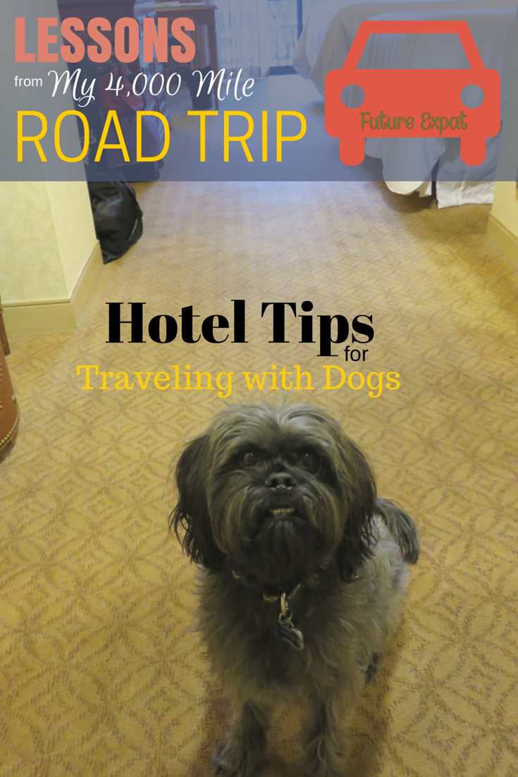 Lessons from My 4000 Mile Road Trip ~ Hotel Tips for Traveling with Dogs via Future Expat #petfriendlytravel #dogs 