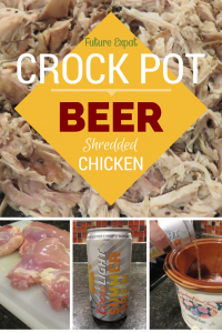 Crock Pot Beer Shredded Chicken Recipe | Future Expat
