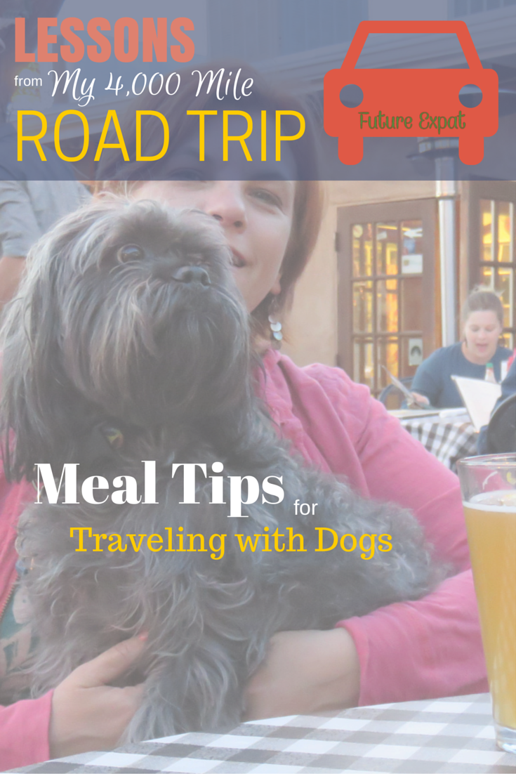 Lessons from My 4000 Mile Road Trip: Meal Tips for Traveling with Dogs