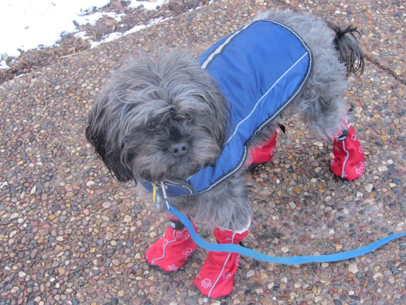 Milo raincoat and boots