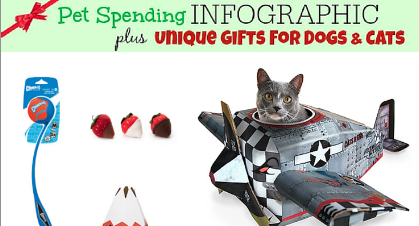 Pet Gift Spending INFOGRAPHIC plus Unique Gifts for Dogs and Cats