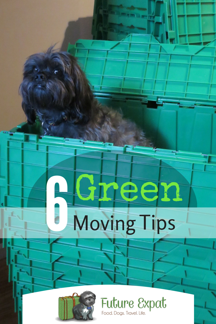 6 Green Moving Tips | Future Expat