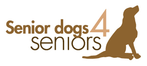 Senior Dogs for Seniors - Dog Rescue in St. Louis | Future Expat