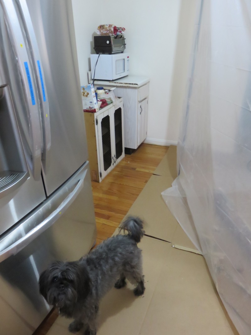 Kitchen Remodel: Before and After (Part 2) | Future Expat